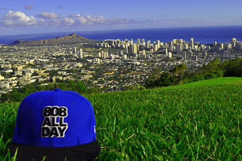808 All Day Fitted Hat