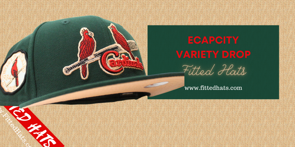 Ecapcity Variety fitted Hat drop