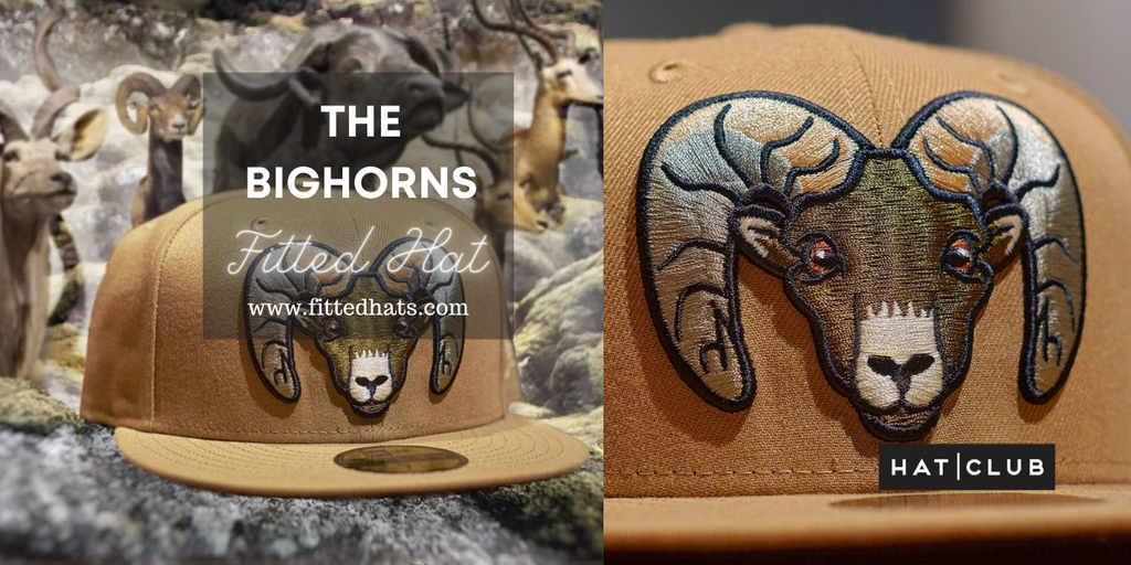 The BigHorns Fitted Hat by Dionic x Hat Club