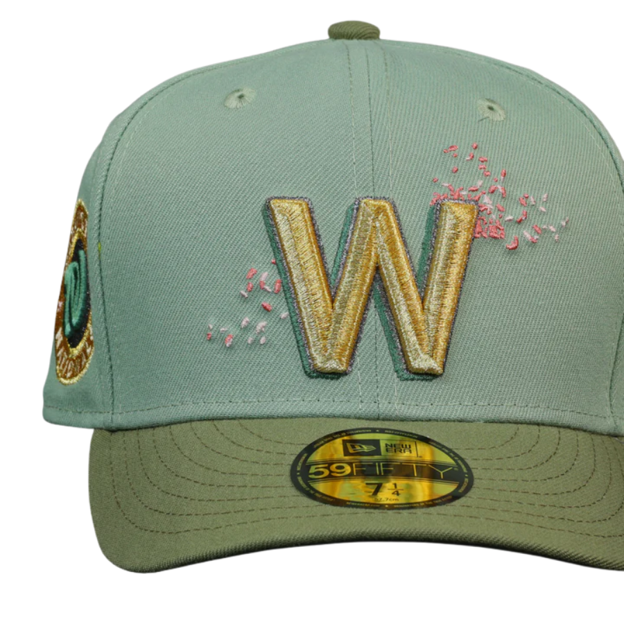 New Era Washington Nationals City Connect Dollar Cherry Blossom 59FIFTY Fitted Hat