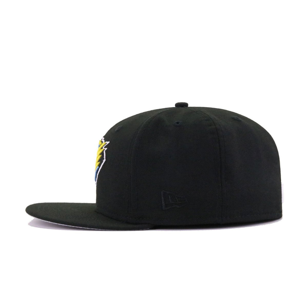 New Era Fresno Grizzlies Black Polar 59FIFTY Fitted Hat