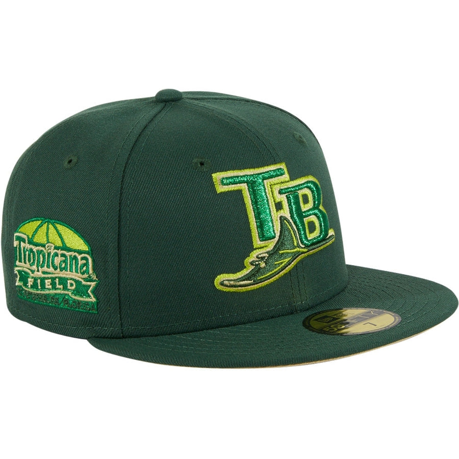 New Era Tampa Bay Devil Rays Tropicana Field Crocodile 59FIFTY Fitted Hat