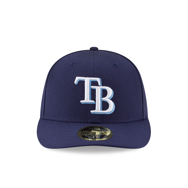 tampa bay rays fathers day hat