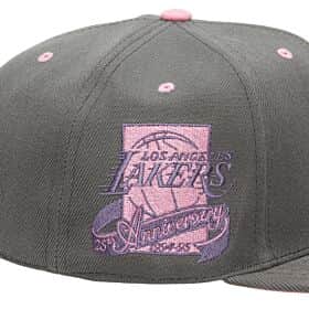 Mitchell & Ness Los Angeles Lakers 'Lavender Dreams' Fitted Hat