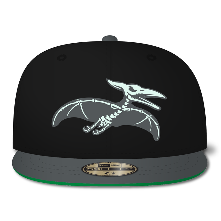 New Era Tampa Pterodactyls 59FIFTY Fitted Hat