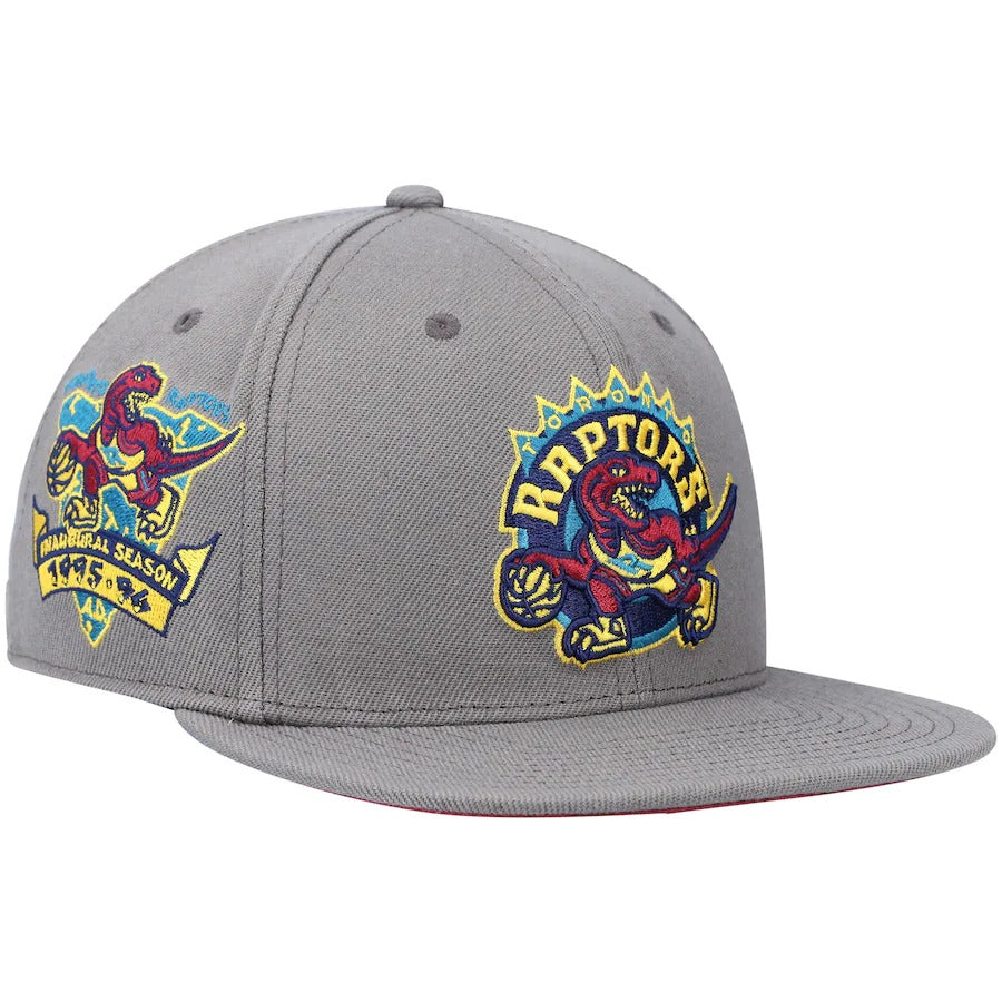 Mitchell & Ness Toronto Raptors Charcoal Hardwood Classics Carbon Cabernet Inaugural Season Fitted Hat
