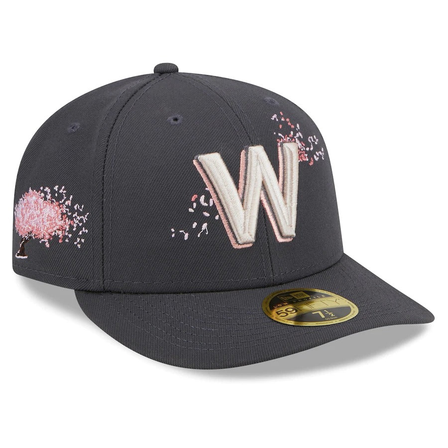 New Era Washington Nationals Graphite 2022 City Connect Low Profile 59FIFTY Fitted Hat